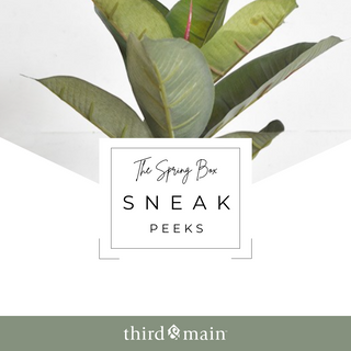 Contemporary Spring Home Decor Box Sneak Peeks Are Here!