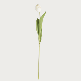 Beautiful 26.75" White Real Touch Tulip Stem, Real Touch Floral, Third & Main, Tulip, Floral, Floral Arrangement, Spring Floral, Summer Floral 