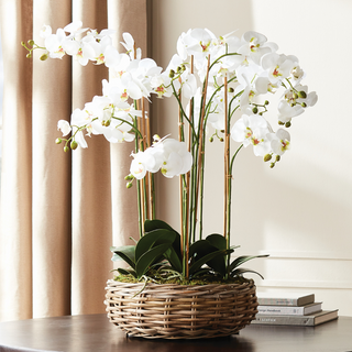 100% realistic-- a perfect copy of nature. Measuring an impressive 35" tall, this well-scaled drop-in is a no-maintenance work of art.  Third & Main, Home Decor, Faux Floral, Orchid, floral, contemporary, Luxury, luxury home