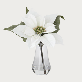 10” High White Poinsettia Premade in Faux Water, Third & Main, Holiday Decor, Home Decor, Faux Floral